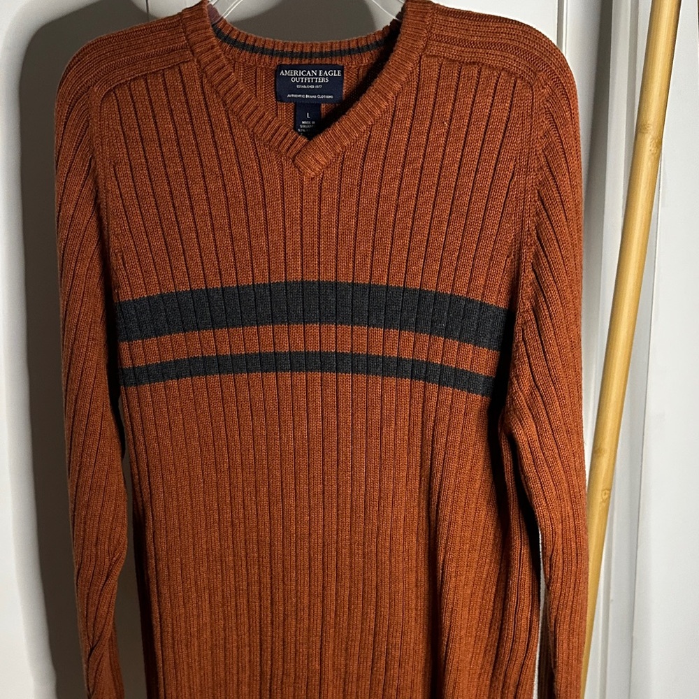 American Eagle Outfitters Men's V-Neck Rust‎ Sweater with navy stripe - Picture 4 of 10